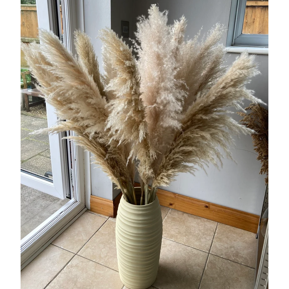 Pampas Grass Factory Newly Decoration Home Decor Valentine Gift OEM Packing Bouquet China Long Lasting Yunnan Dry Flower Wedding