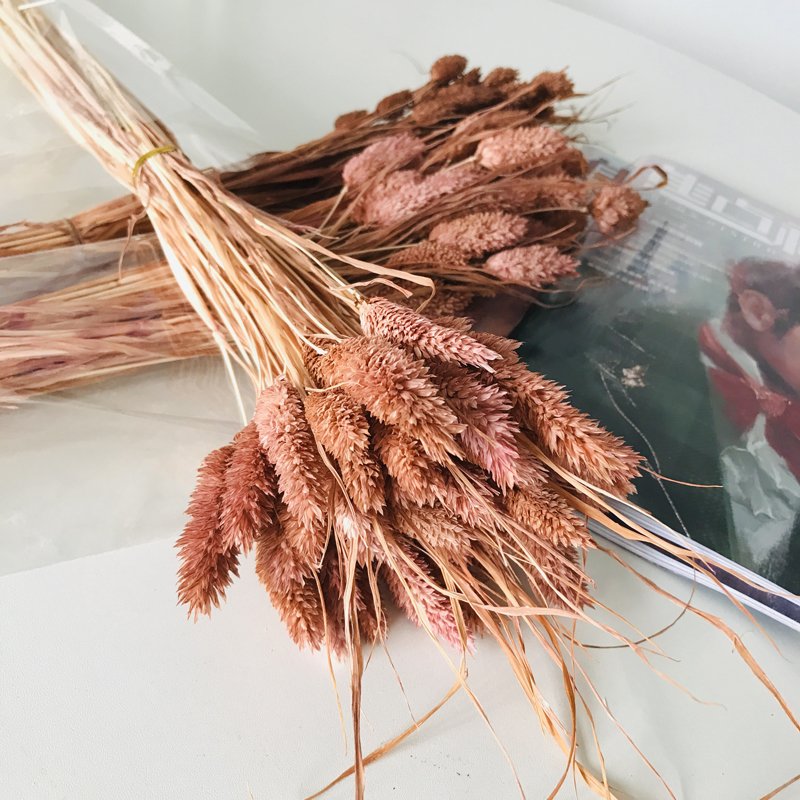 2022 Wholesale Dried Flower Mini Colorful Jewelry Grass Gem Grass Dried Phalaris For Flower Bouquet Wreath