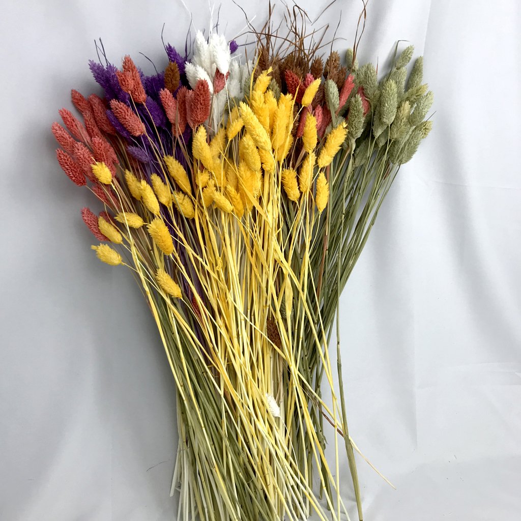 2022 Wholesale Dried Flower Mini Colorful Jewelry Grass Gem Grass Dried Phalaris For Flower Bouquet Wreath