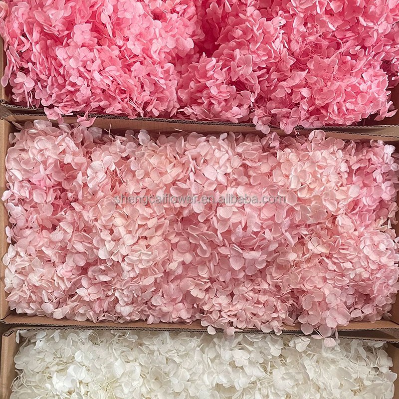 Preserved Rose Wholesale And Gift Wall Moss Flowers & Real Petals Bouquet Roses Box Stabilized hydrangea arrangement