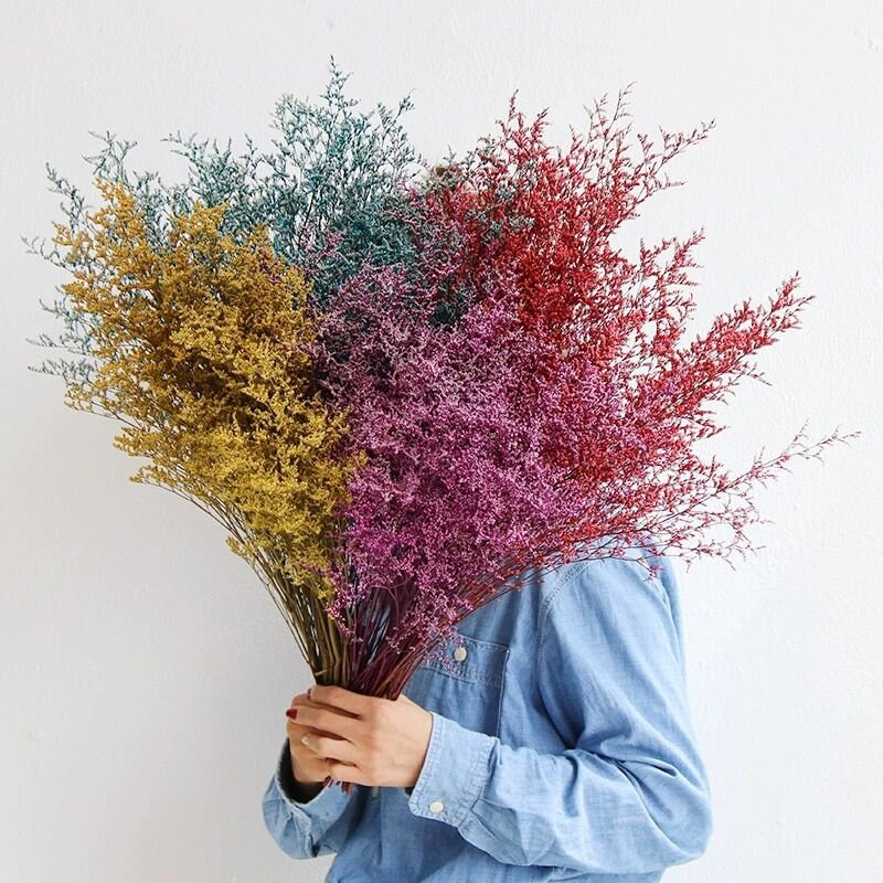 Yunnan Factory Wholesale Preserved Limonium flower preserved caspia valentine's grass for decoration and flower arrangement