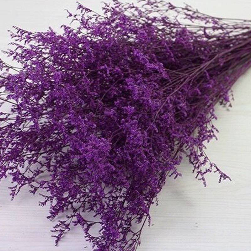 Yunnan Factory Wholesale Preserved Limonium flower preserved caspia valentine's grass for decoration and flower arrangement