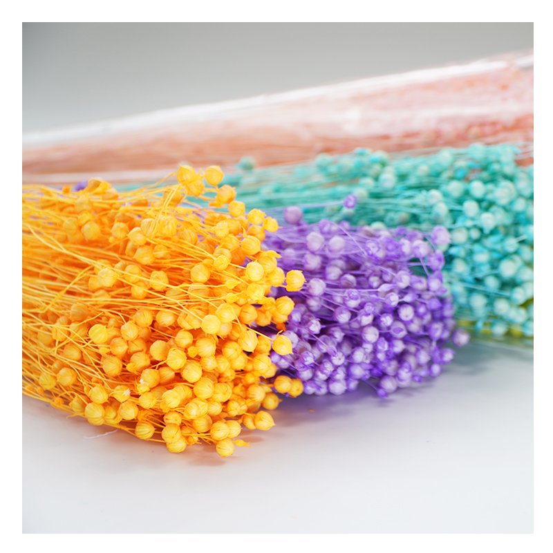 High Quality Florist Supply Natural Real Fresh Everlasting Jequirity Bean Jumble-beads Dried Flowers For Home Decoration