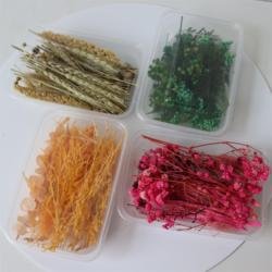 color1