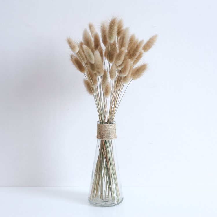sumflora New product ideas 2024 original flowers bunny tail preserved natural flower dried flowers lagurus