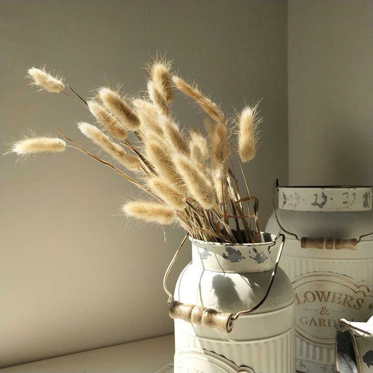 sumflora New product ideas 2024 original flowers bunny tail preserved natural flower dried flowers lagurus