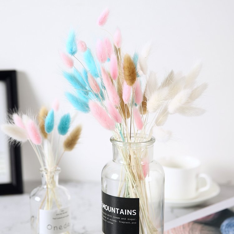 sumflora New product ideas 2024 original flowers bunny tail preserved natural flower dried flowers lagurus