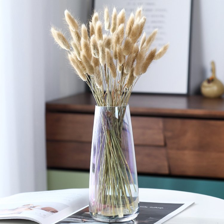 sumflora New product ideas 2024 original flowers bunny tail preserved natural flower dried flowers lagurus