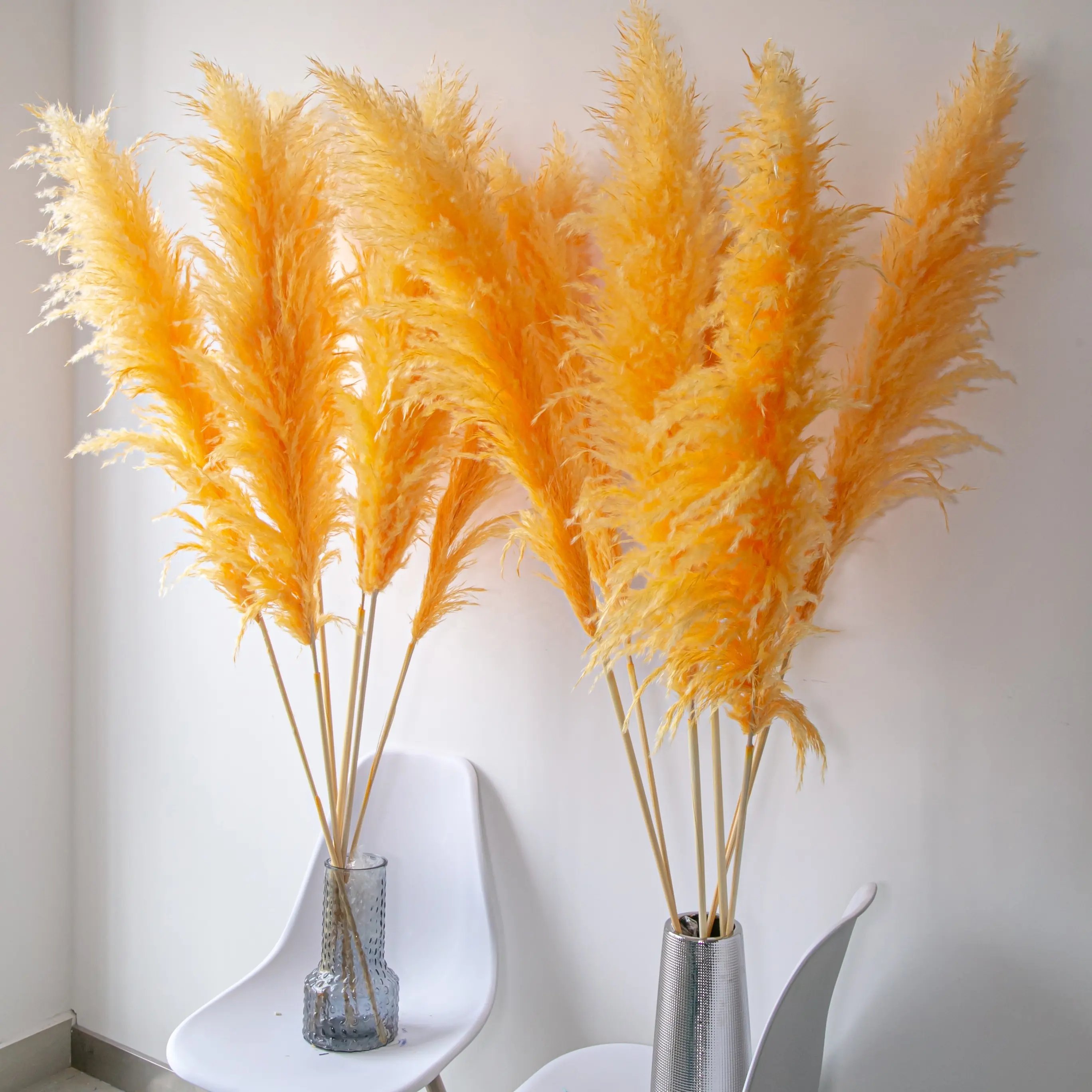 Fall Decor 2024 Pampas Naturel Dekoration Wedding Ceiling Decorations Items Pampas Grass for Wedding Home