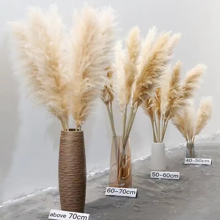 Fall Decor 2024 Pampas Naturel Dekoration Wedding Ceiling Decorations Items Pampas Grass for Wedding Home