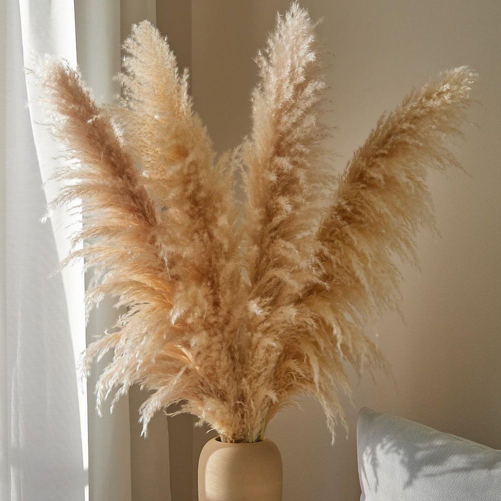 Fall Decor 2024 Pampas Naturel Dekoration Wedding Ceiling Decorations Items Pampas Grass for Wedding Home