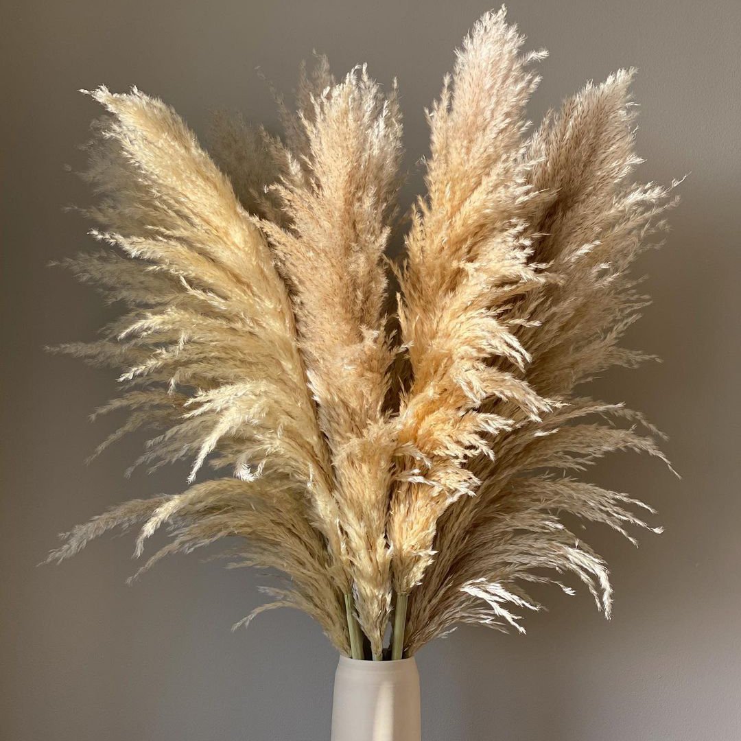 Fall Decor 2024 Pampas Naturel Dekoration Wedding Ceiling Decorations Items Pampas Grass for Wedding Home