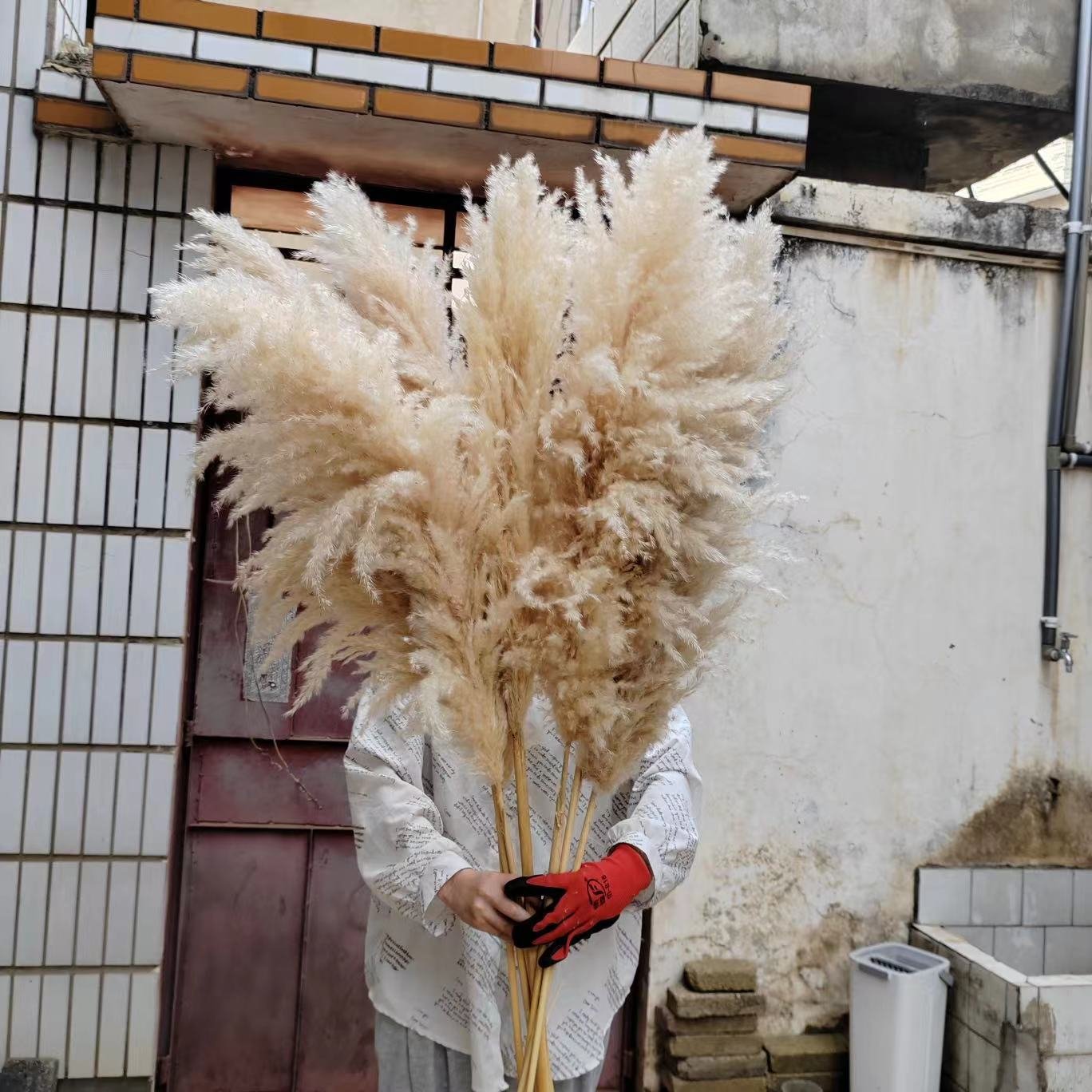 Amazon hot sell 2023 Pampas Grass Decorative Flowers Fluffy pampas grass for home wedding decoration