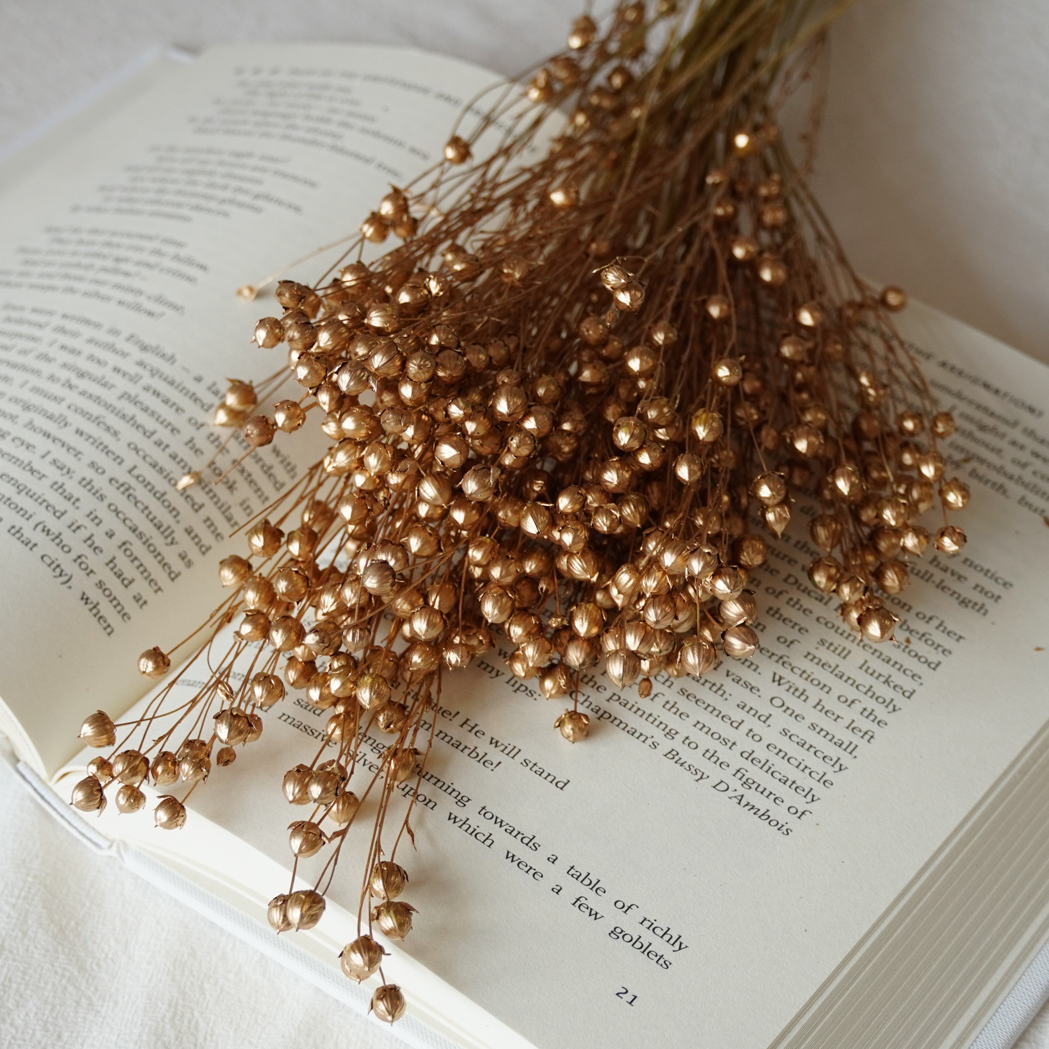 Preserved Natural Dried Flax Bunch, dried grains, dried pods, natural florals, natural grains, rustic wedding