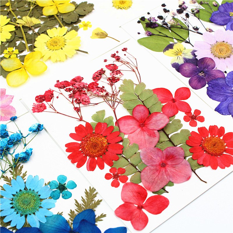 I614 Dried Flower Material Pack Pressed Flowers Real Leaves and Flowers Bookmarks