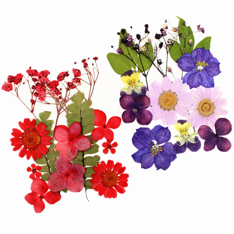 I614 Dried Flower Material Pack Pressed Flowers Real Leaves and Flowers Bookmarks