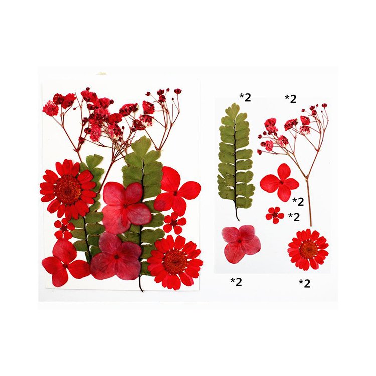 I614 Dried Flower Material Pack Pressed Flowers Real Leaves and Flowers Bookmarks