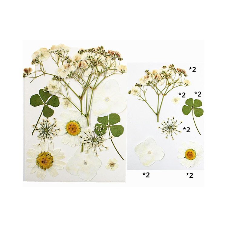 I614 Dried Flower Material Pack Pressed Flowers Real Leaves and Flowers Bookmarks