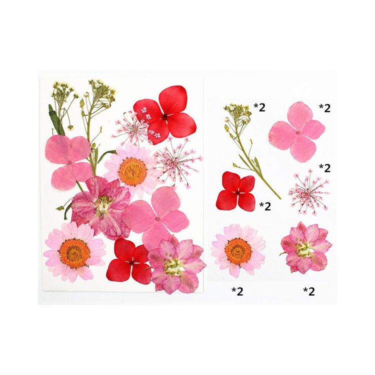 I614 Dried Flower Material Pack Pressed Flowers Real Leaves and Flowers Bookmarks
