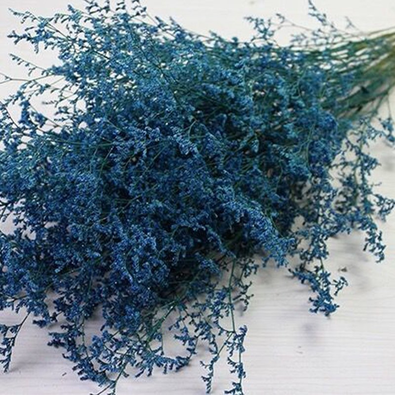 Wholesale Natural Dried flowers Caspia Misty Limonium Preserved Limonium Flower For Flower Arrangement And Decoration