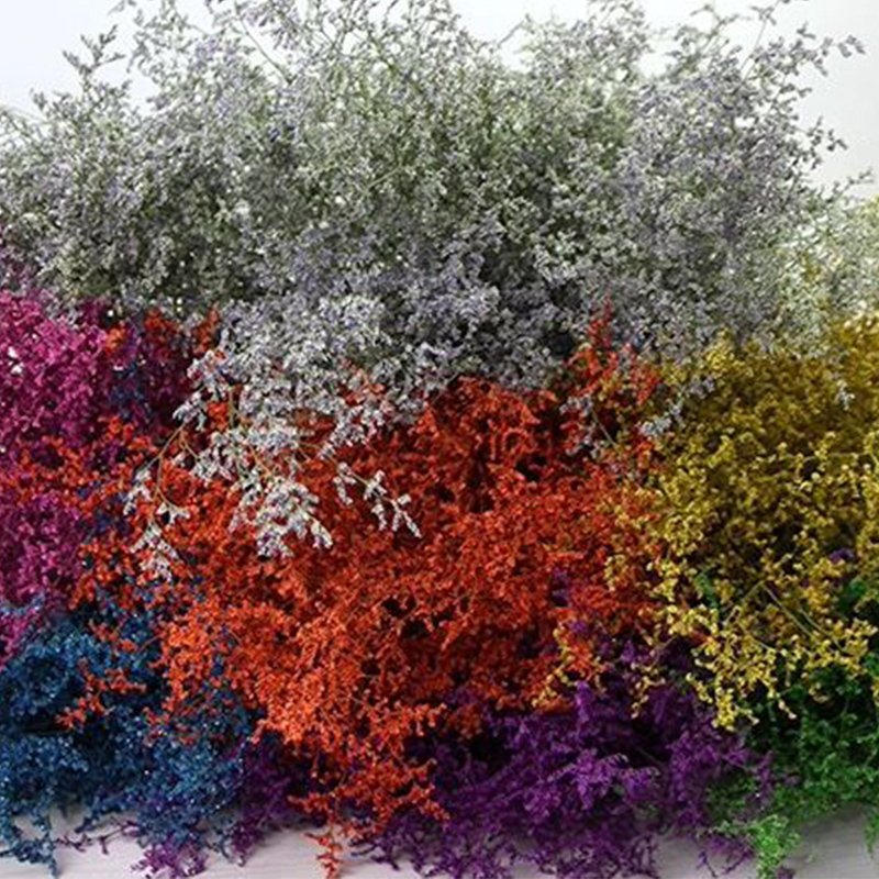 Wholesale Natural Dried flowers Caspia Misty Limonium Preserved Limonium Flower For Flower Arrangement And Decoration