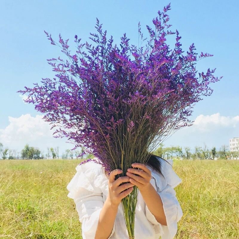 Wholesale Natural Dried flowers Caspia Misty Limonium Preserved Limonium Flower For Flower Arrangement And Decoration