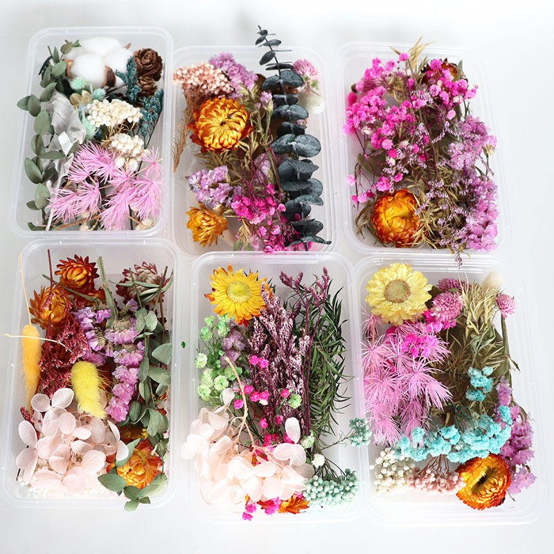 UKIQUEEN Wholesale Random DIY Boxed Mixed Dried Flower For Resin Art Nails Decor Mobile Phone Shell Real Flower