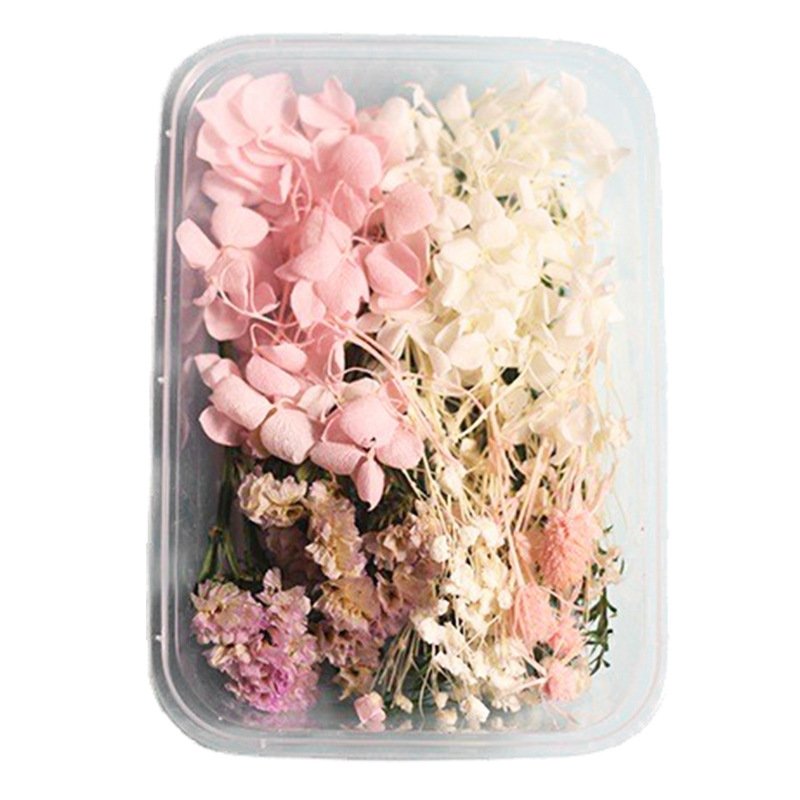 UKIQUEEN Wholesale Random DIY Boxed Mixed Dried Flower For Resin Art Nails Decor Mobile Phone Shell Real Flower