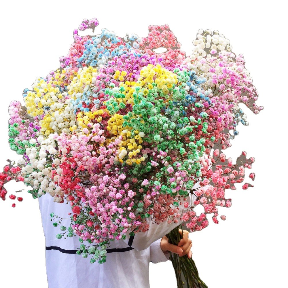 Dried Flower Decoration Gypsophila Preserved Dried Babysbreath Flower Gypsophila For Wedding