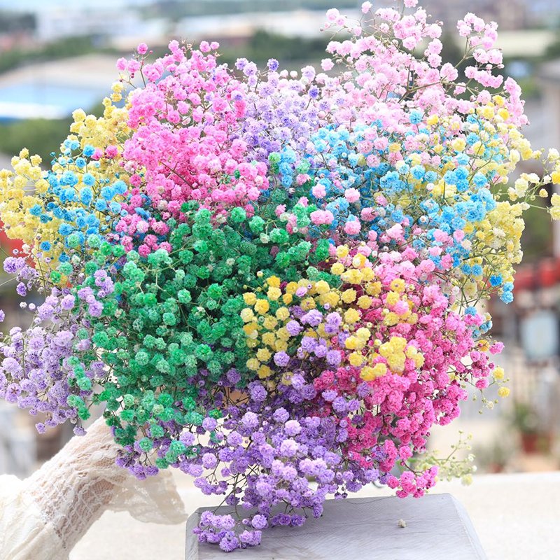 Dried Flower Decoration Gypsophila Preserved Dried Babysbreath Flower Gypsophila For Wedding