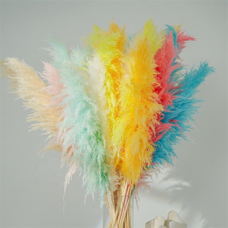 Hot Sale Beige Pampas Grass Natural Dried Flowers Large Plume for Home Wedding Halloween Decorations