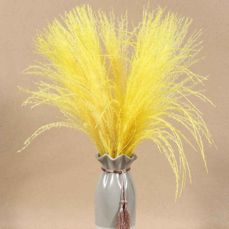 Wholesale Home and Wedding Decoration Dried Feather Flower and Dried Pampas Grass for Party Use