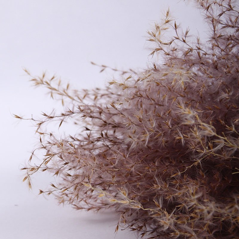 Wholesale Home and Wedding Decoration Dried Feather Flower and Dried Pampas Grass for Party Use
