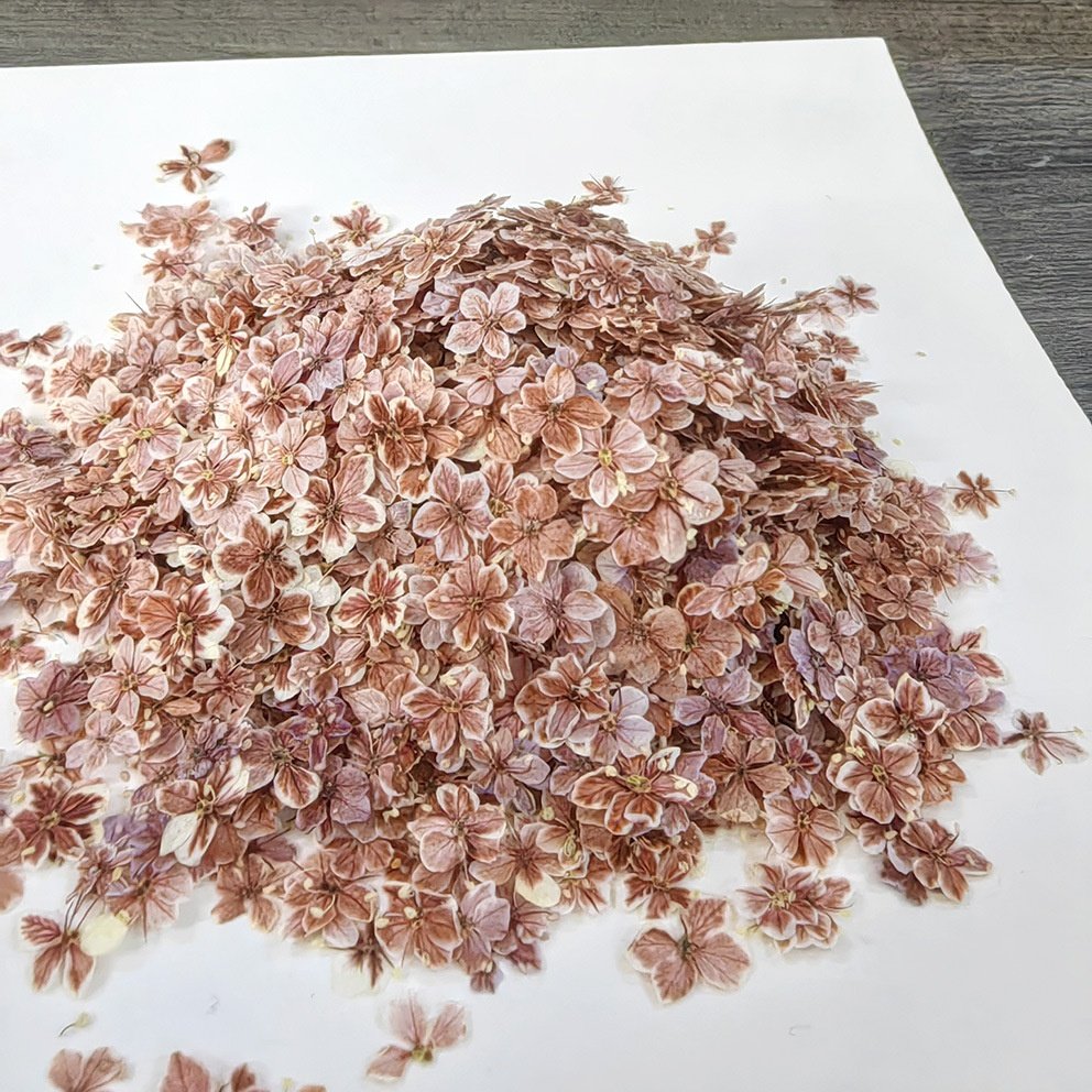 Dried flowers embedded resin crafts Remarkable beautiful candle making