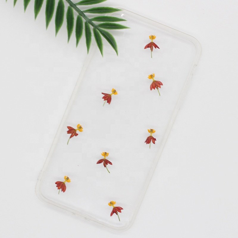 MNR1955 wholesale price dried pressed flowers for DIY decoration