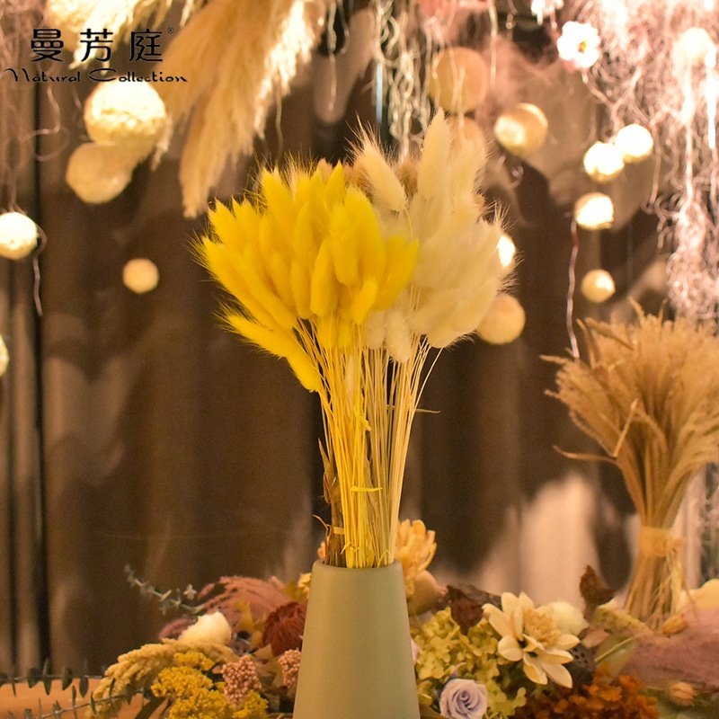 50pcs/pack Pink Decorative Flowers Rabbit Grass baby Lagurus Bundle Plants Natural Bouquet Ovatus Dried Bunny Tail of Resup