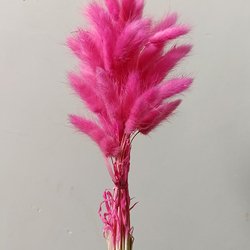 rosy