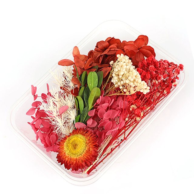 Special Day Decoration 100% Natural Dry Flowers in box Dried Flowers and Plants for Resin Crafts Candle Making
