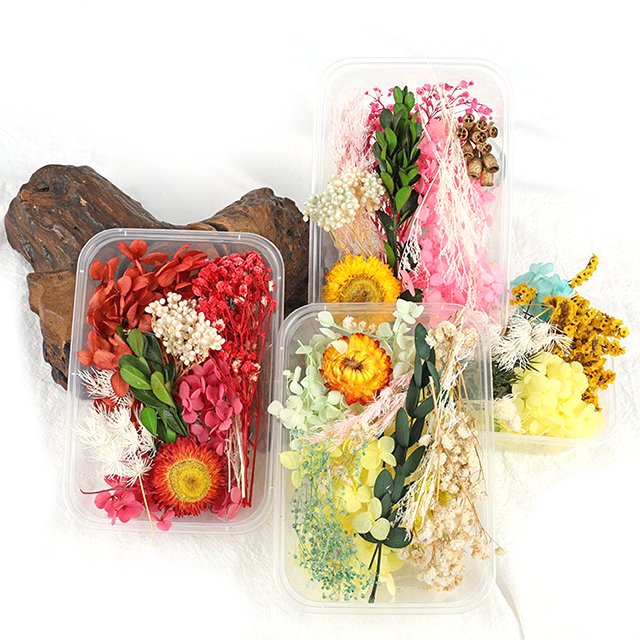 Special Day Decoration 100% Natural Dry Flowers in box Dried Flowers and Plants for Resin Crafts Candle Making