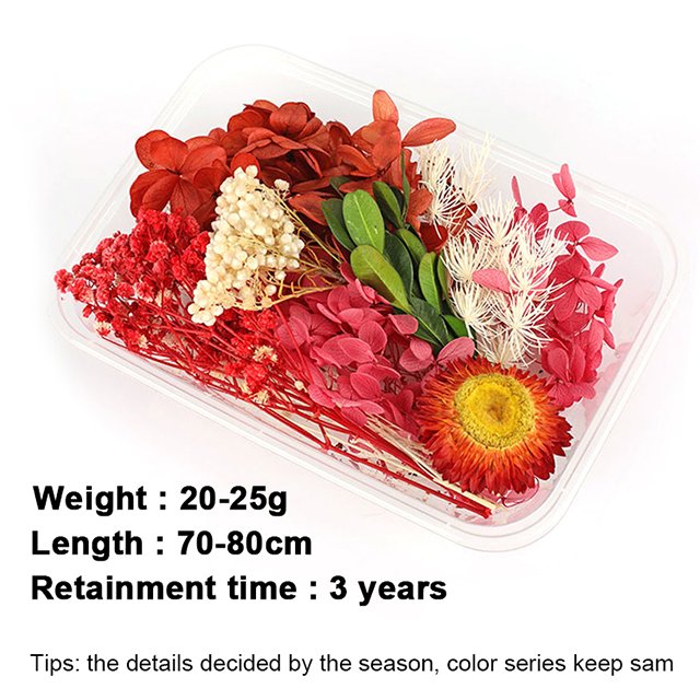 Special Day Decoration 100% Natural Dry Flowers in box Dried Flowers and Plants for Resin Crafts Candle Making
