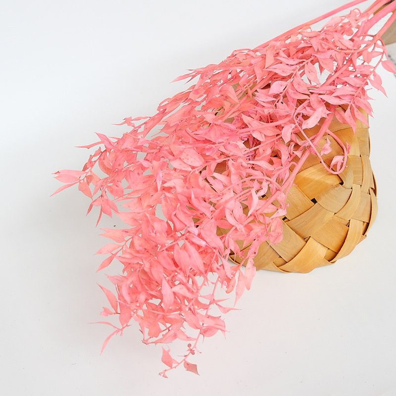 Wholesale hot selling dried flowers bouquet preserved flowers italian ruscus branches for home wedding decoration