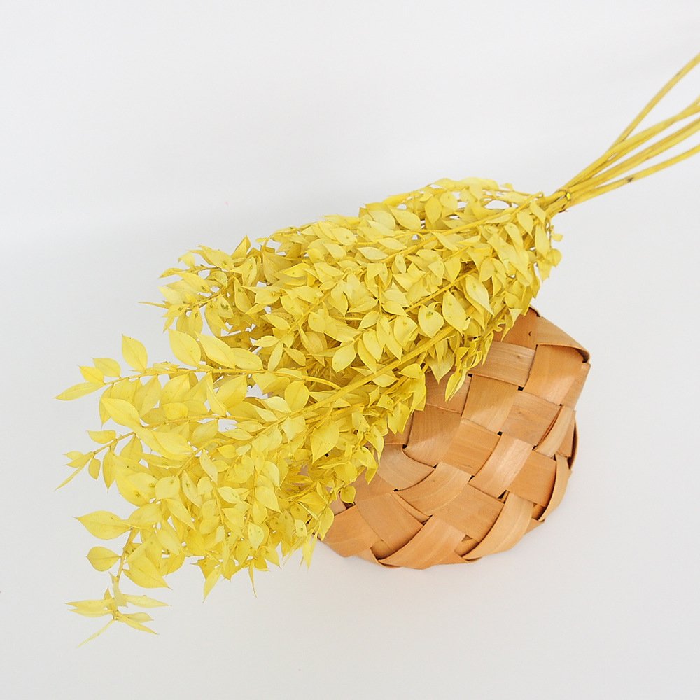 Wholesale hot selling dried flowers bouquet preserved flowers italian ruscus branches for home wedding decoration