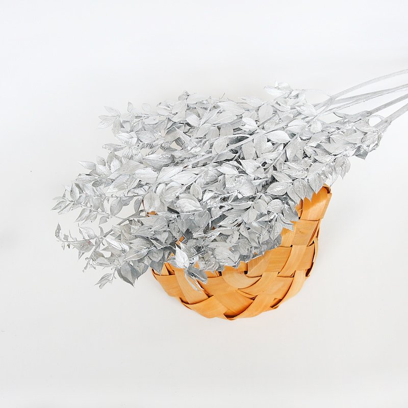Wholesale hot selling dried flowers bouquet preserved flowers italian ruscus branches for home wedding decoration