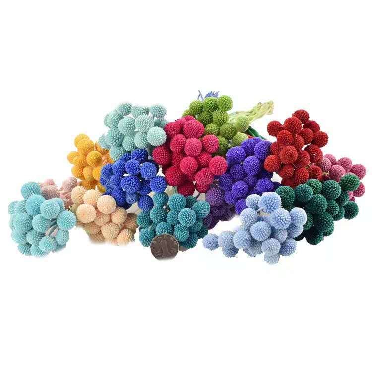 Natural Dried Flowers Craspedia Billy Balls Floral Bouquet for Flower Arrangements Wedding Home Decor