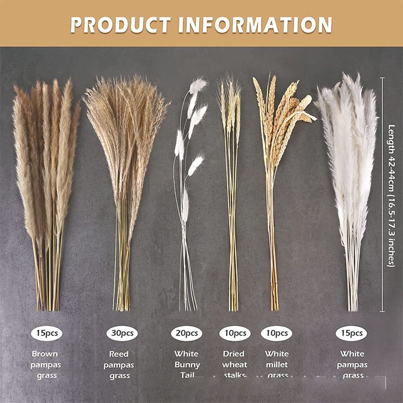 Real Pampa Bouquet Dried Flower Wedding Decor Home Decoration Natural Decorative Flowers Fluffy Tall Pampas Grass