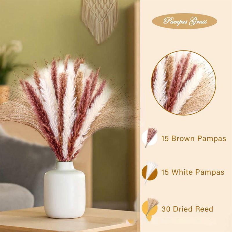 Real Pampa Bouquet Dried Flower Wedding Decor Home Decoration Natural Decorative Flowers Fluffy Tall Pampas Grass