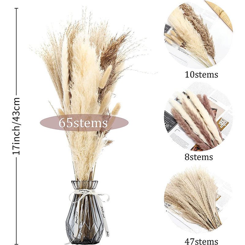 Real Pampa Bouquet Dried Flower Wedding Decor Home Decoration Natural Decorative Flowers Fluffy Tall Pampas Grass