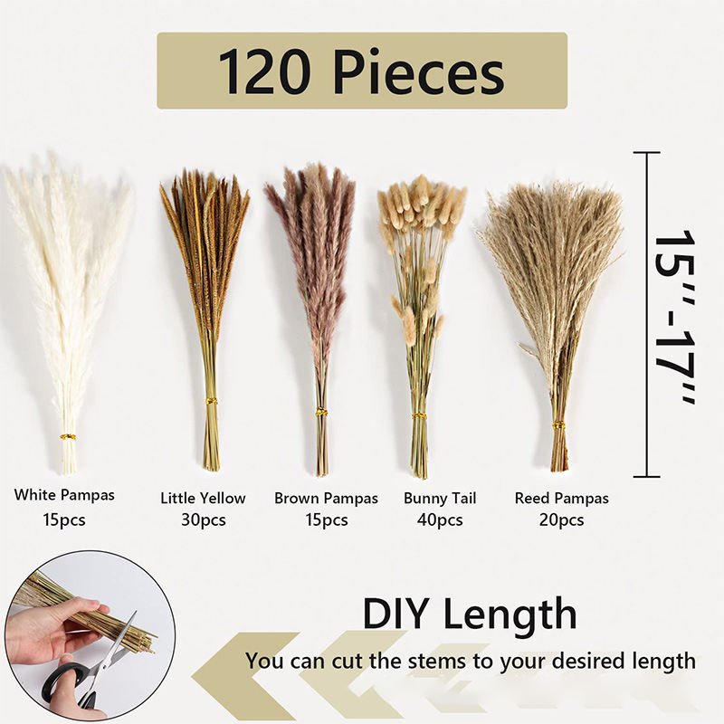 Real Pampa Bouquet Dried Flower Wedding Decor Home Decoration Natural Decorative Flowers Fluffy Tall Pampas Grass