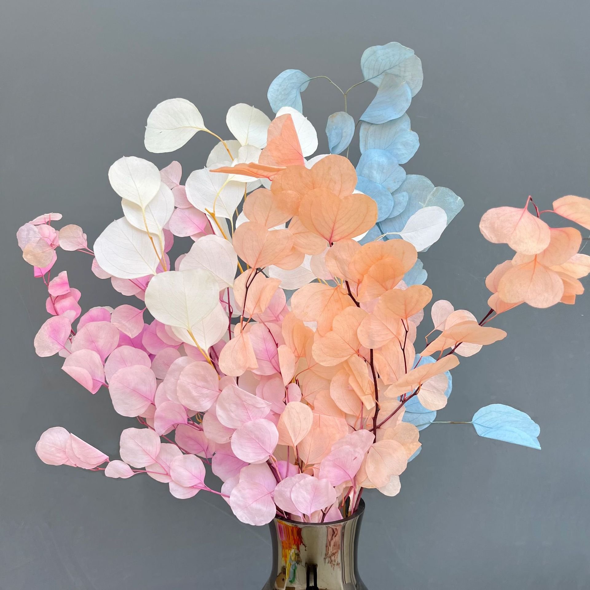 100g Wedding Home Decor Preserved Bleaching Eucalyptus Apple Round Leaves Natural Real Flower Preserved Eucalyptus Leaves
