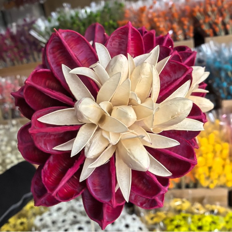 Handmade Flowers Lantana Camara Room Decoration Dried Flowers Rustic Decor Big Flower Head 10 cm in diameter
